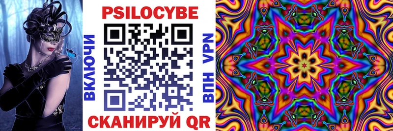 Купить закладки  Воркута  Псилоцибиновые грибы MAGIC MUSHROOMS 